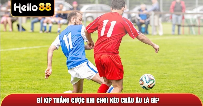 Kèo Châu Âu Là gì? Cách Đọc Và Bắt Kèo Chính Xác Nhất Cho Người Mới 3 Bí kíp thắng cược khi chơi kèo châu Âu là gì?